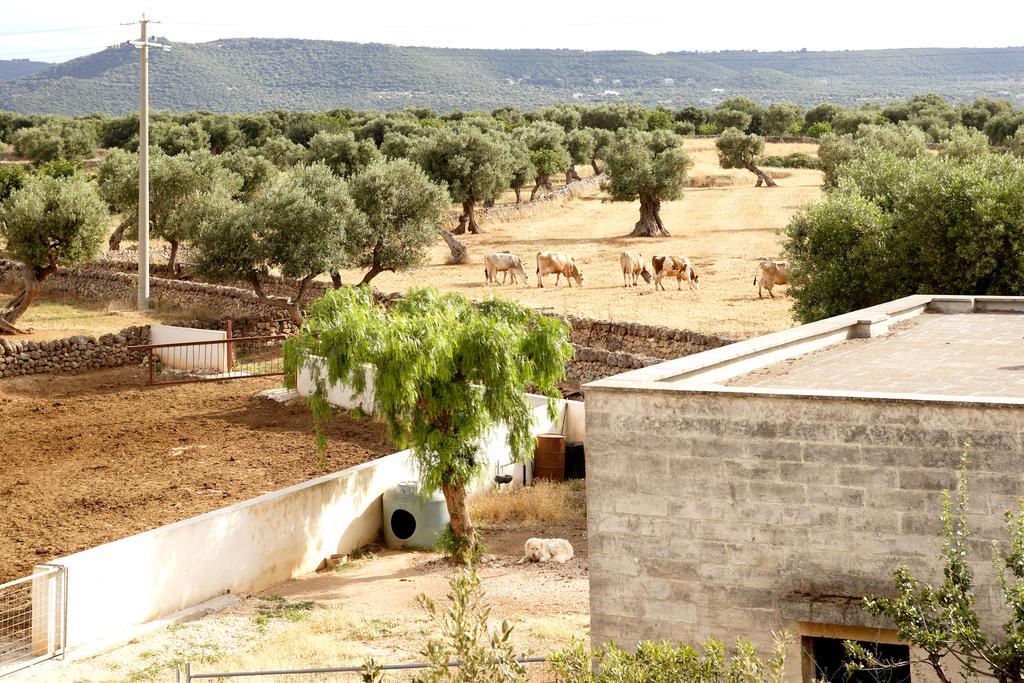 Masseria Curatori Монополі Екстер'єр фото