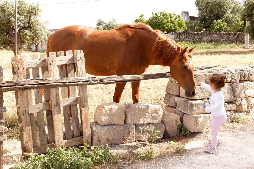 Masseria Curatori Монополі Екстер'єр фото